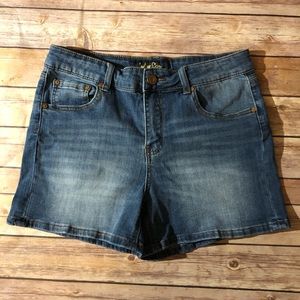 Denim High Rise Denim Shorts